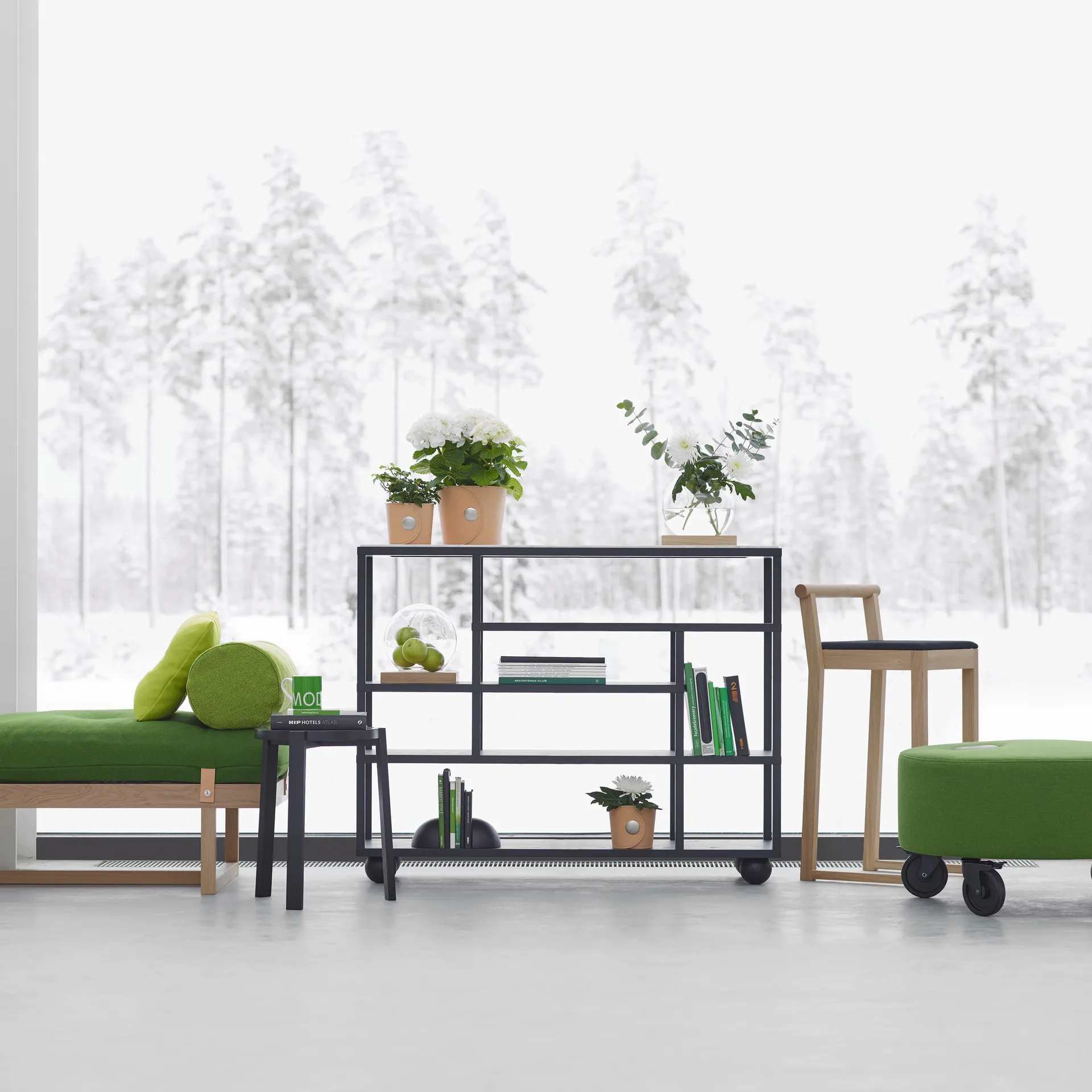 Show półka , Barwione na czarno dąb A2