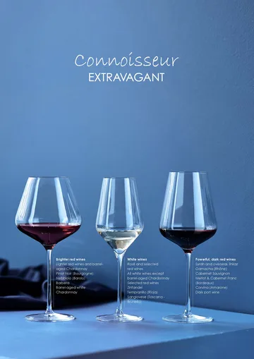 Connoisseur Extravagant kieliszki do białego wina 405 ml, 4‑pak - Clear - Aida