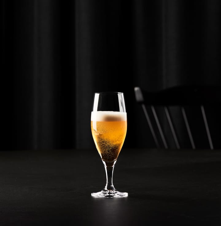 Passion connoisseur szklanka do piwa 40 cl 2-pack, Clear Aida