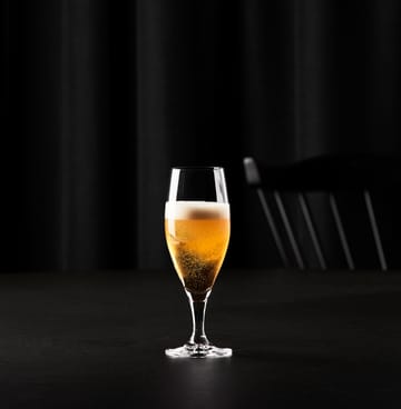 Passion connoisseur szklanka do piwa 40 cl 2-pack - Clear - Aida