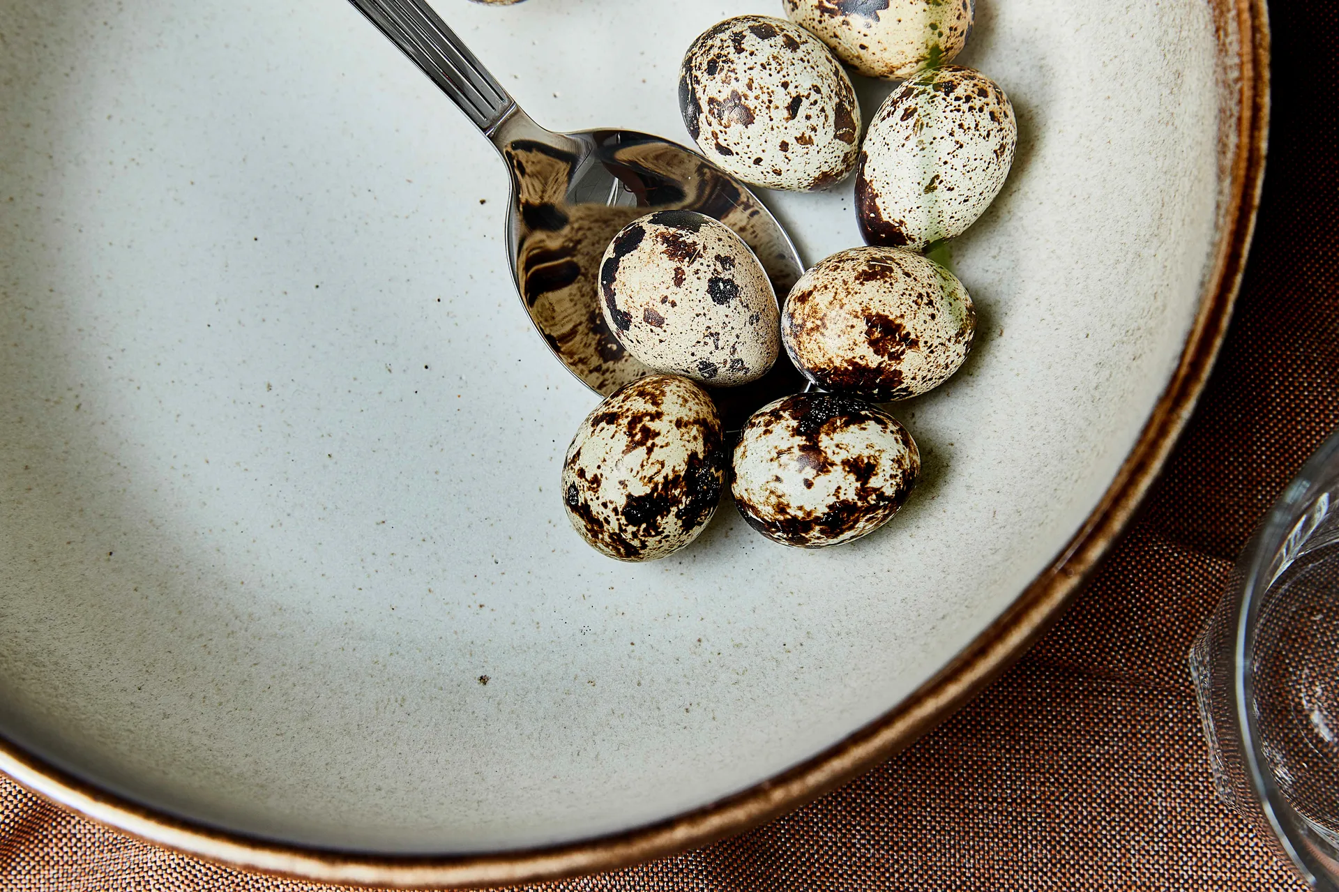 Søholm Sonja miska do sałatek Ø24 cm, Brown Aida