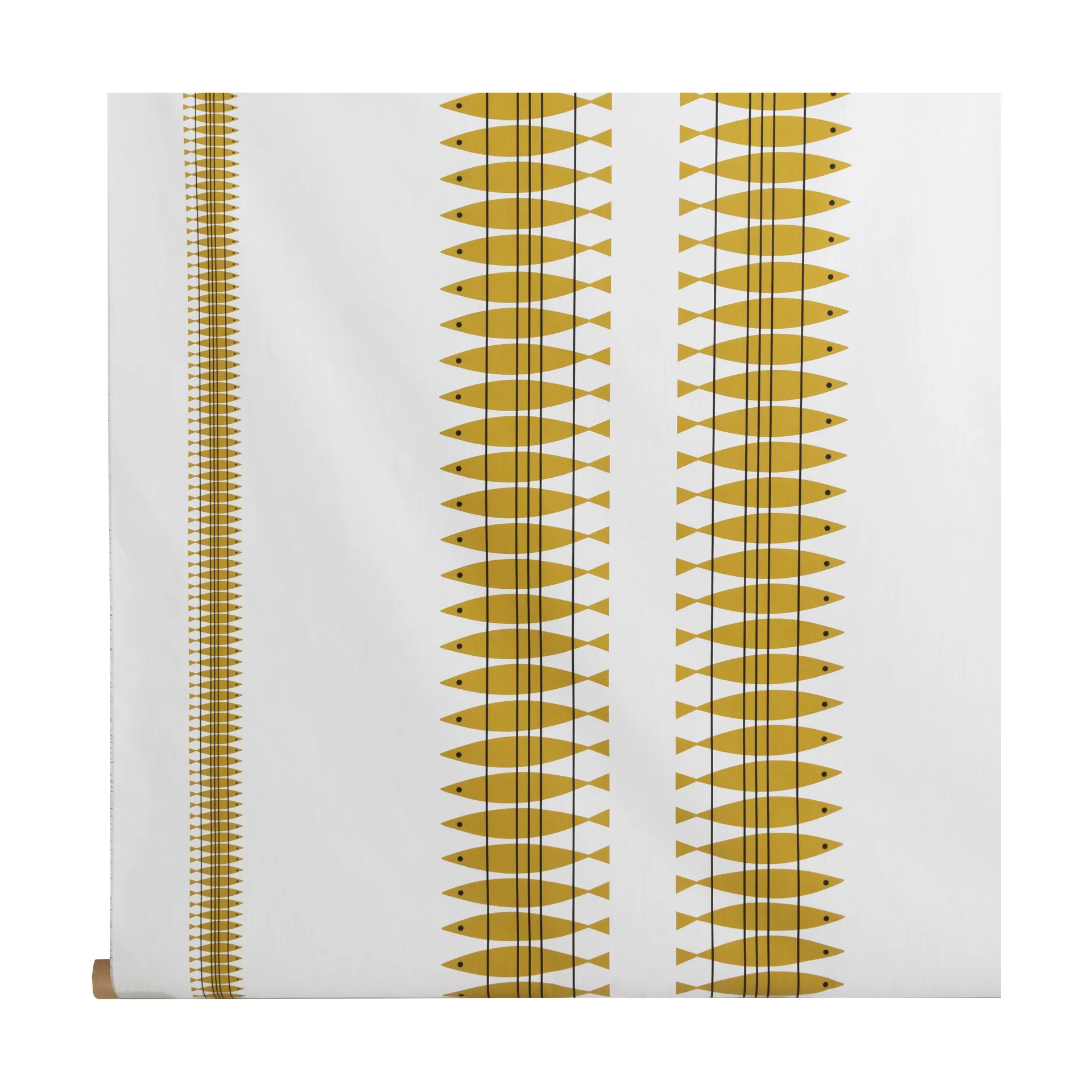 Cerata Sill na metry, Ochra Almedahls