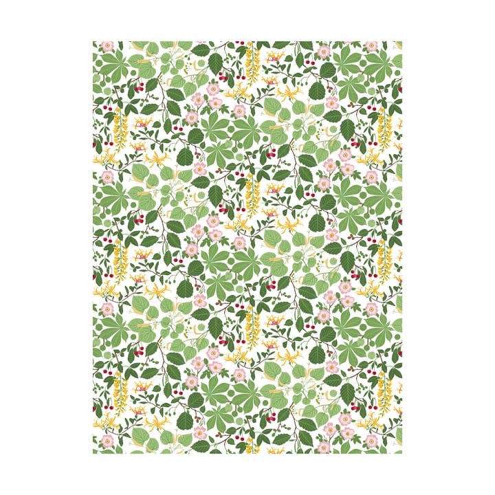 Cerata Haga - Zielona - Arvidssons Textil