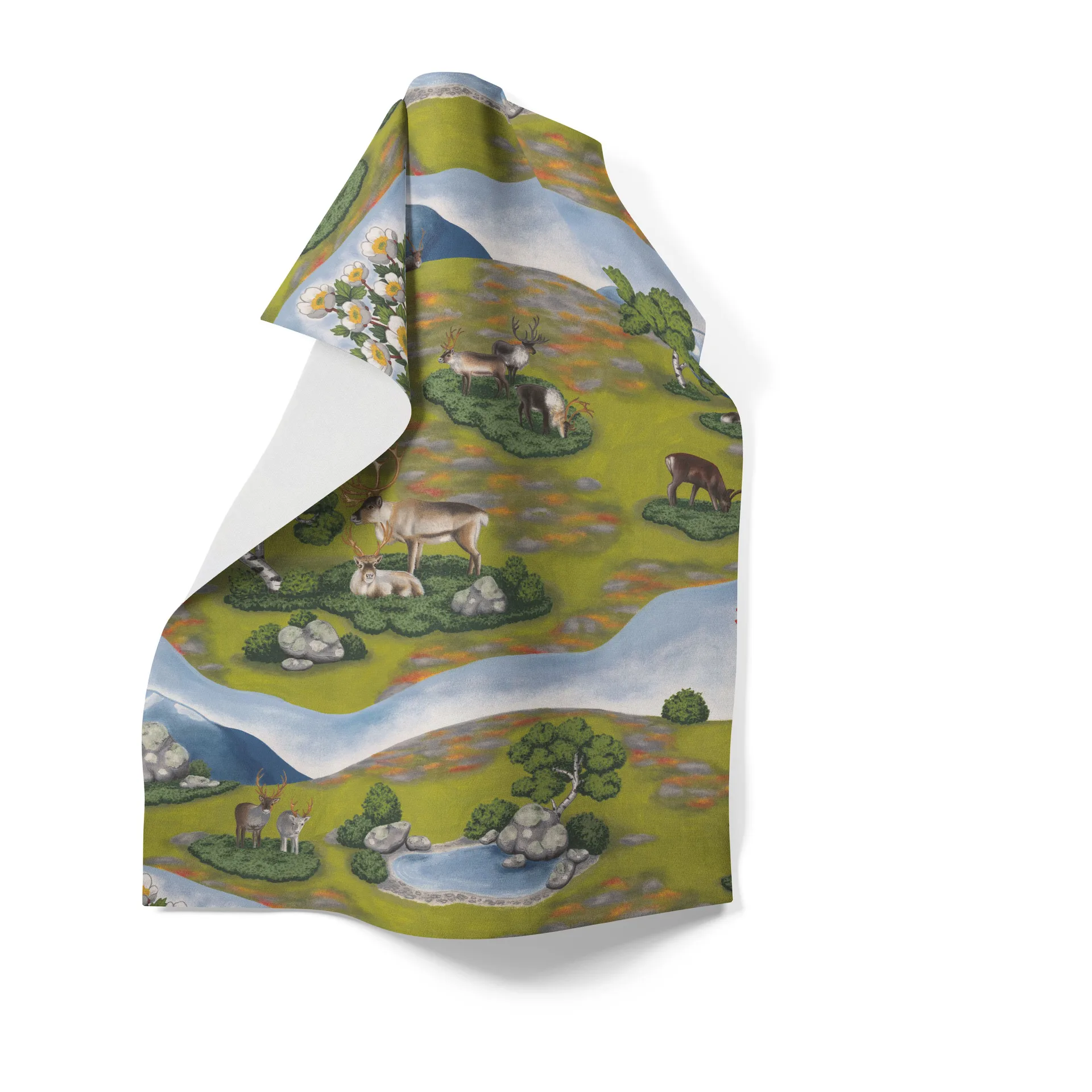 Ścierka kuchenna Renvandring 65x85 cm, Zielony Arvidssons Textil