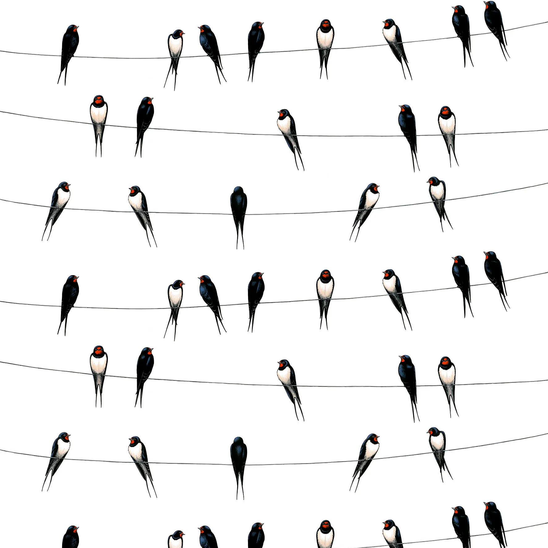 Tkanina z motywem jaskółek, biały Arvidssons Textil