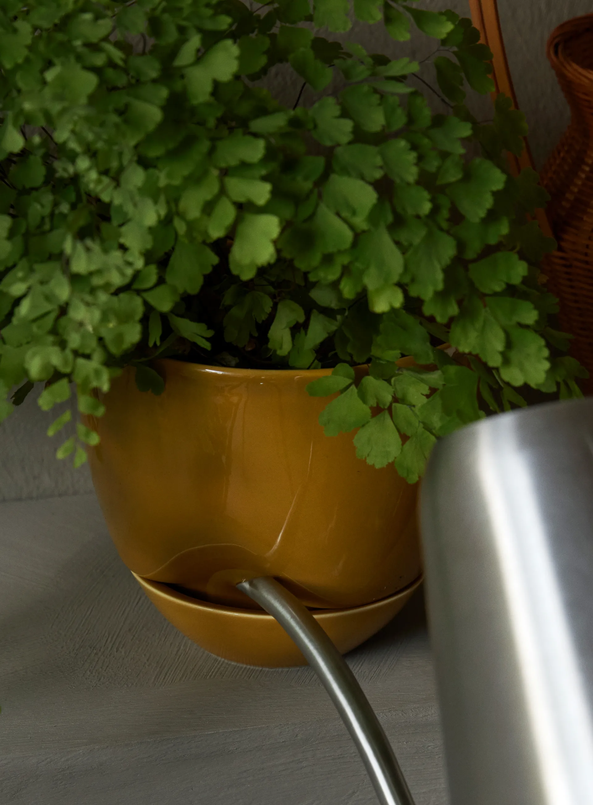 Doniczka Hydrous Ø12 cm, Ochre Audo Copenhagen