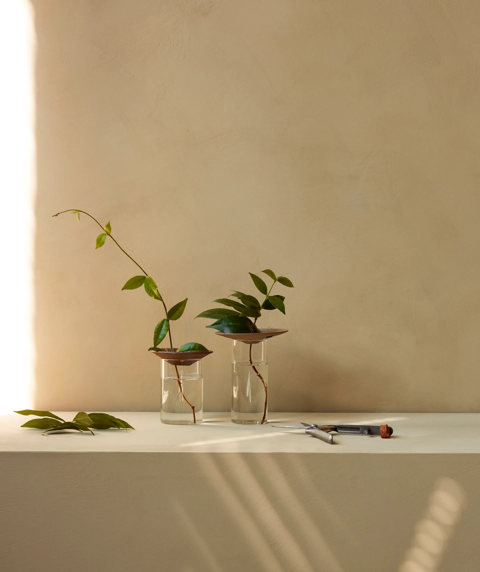 Wazon Cresco Propagation 2 elementy, Brązowy-przezroczysty Audo Copenhagen