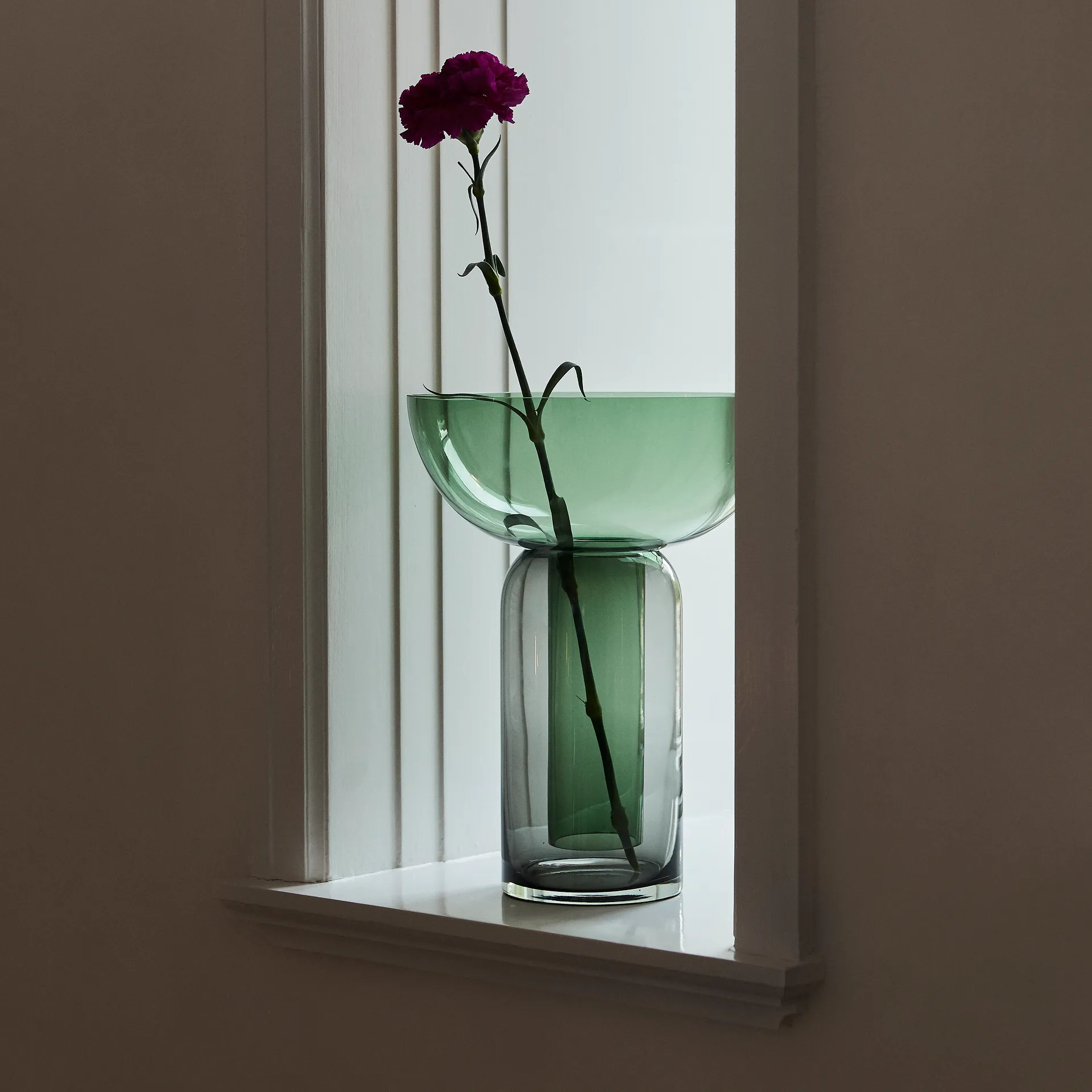 Torus wazon duży, Forest AYTM