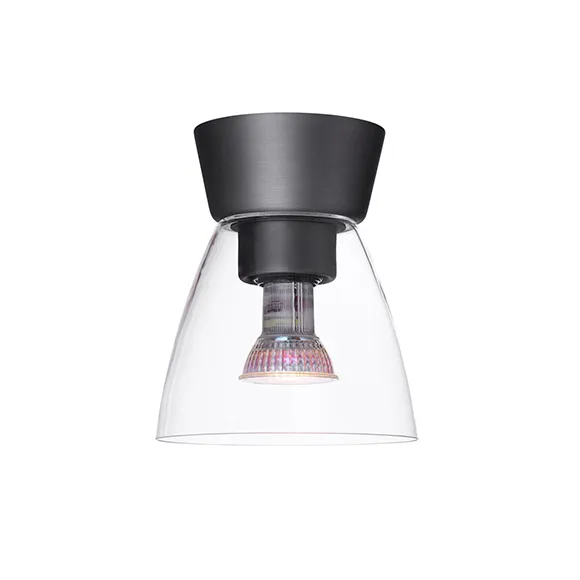 Bizzo lampa sufitowa szkło przezroczyste Ø16,5 cm, Szary tleniony Belid