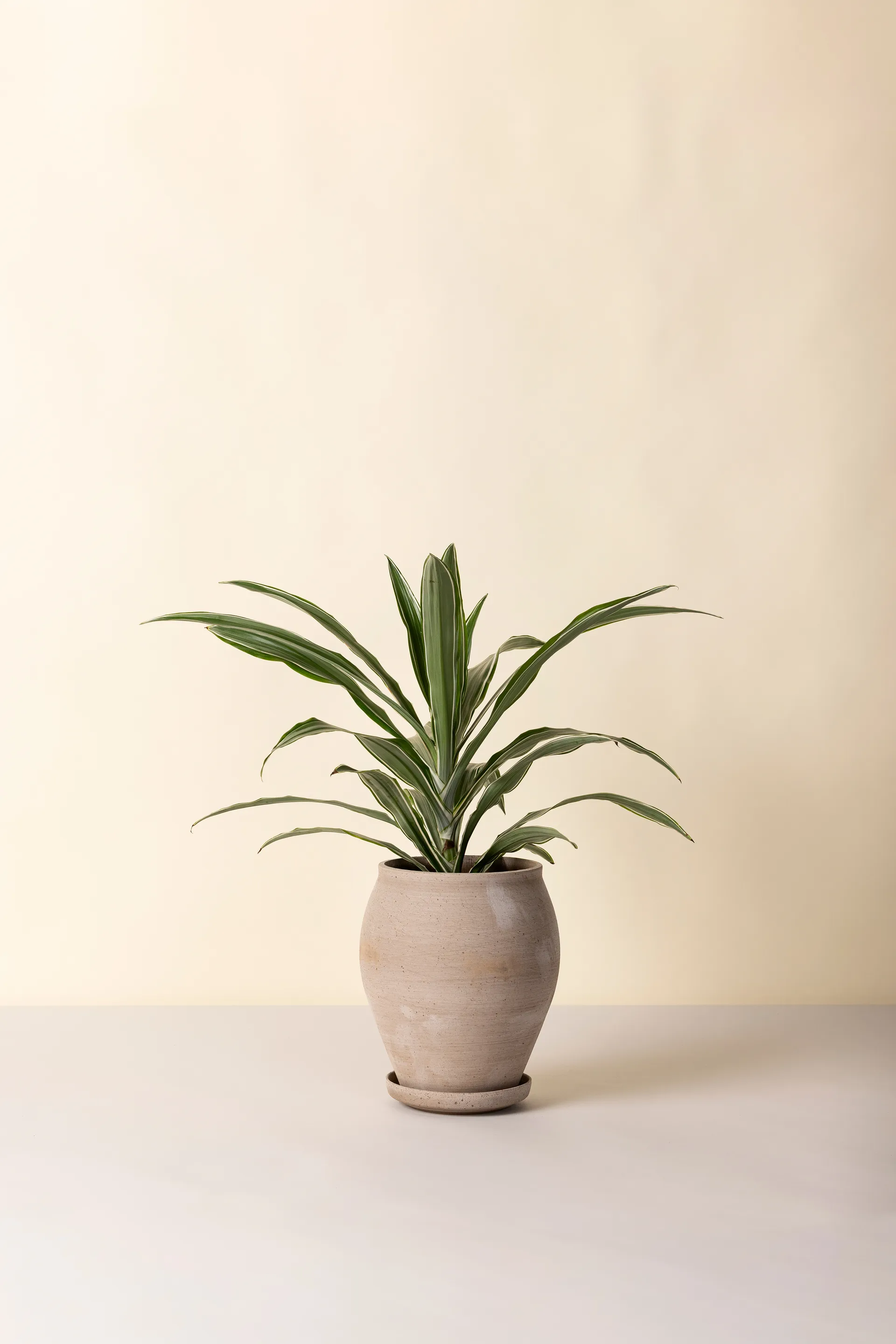 Doniczka Delphi z podstawką, 2 części, Grey, Ø22 cm, tall Bergs Potter