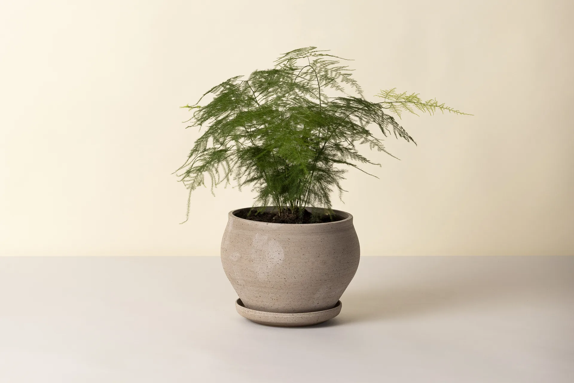 Doniczka Delphi z podstawką, 2 części, Grey, Ø24 cm, low Bergs Potter