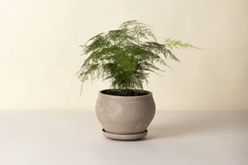 Doniczka Delphi z podstawką, 2 części - Grey, Ø24 cm, low - Bergs Potter