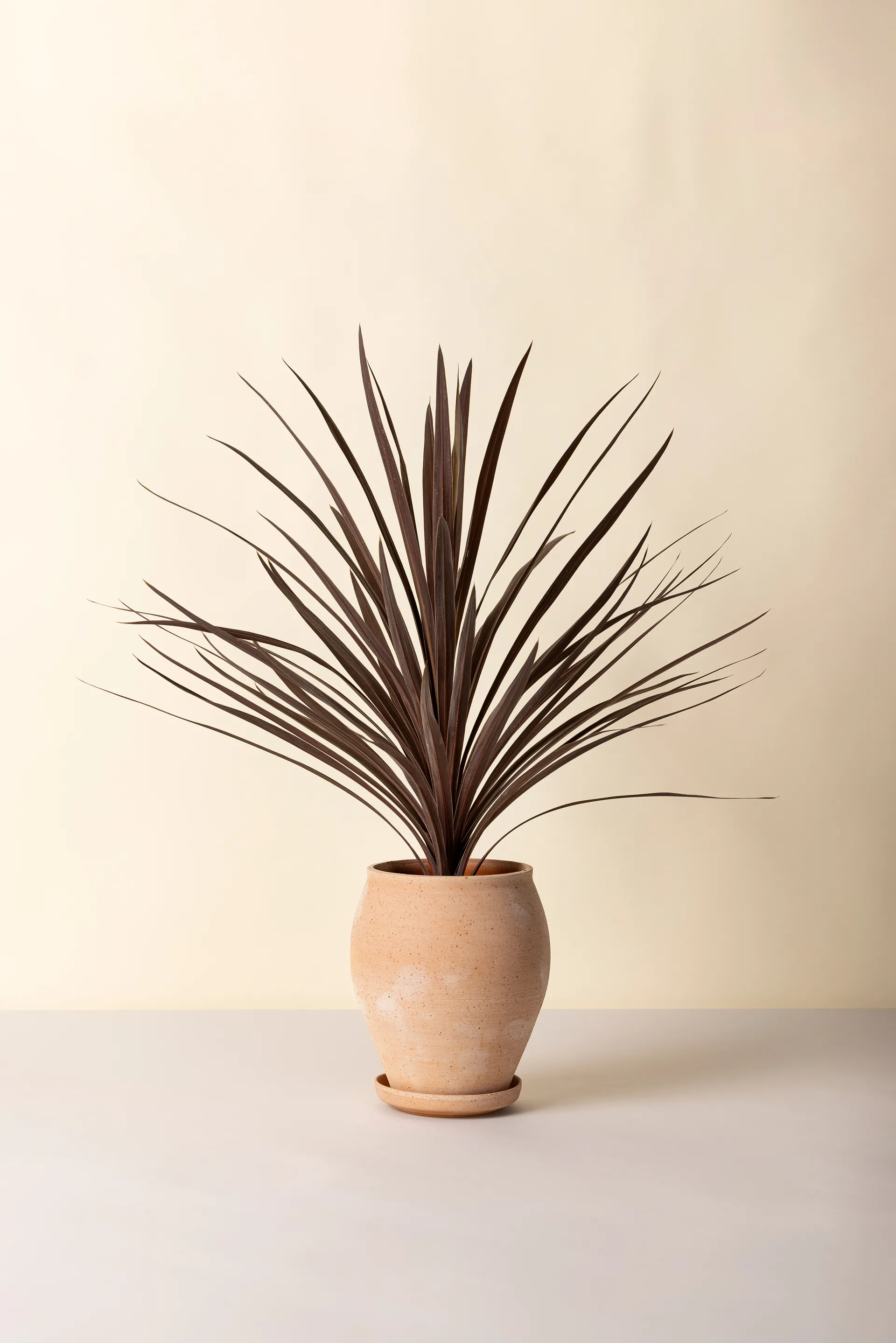 Doniczka Delphi z podstawką, 2 części, Róż, Ø22 cm, tall Bergs Potter