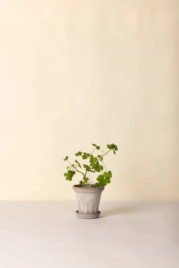 Doniczka Fleur z podstawką, 2 części - Grey, Ø16 cm - Bergs Potter