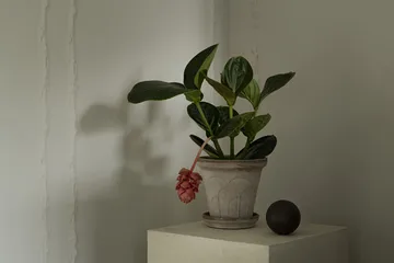 Doniczka Fleur z podstawką, 2 części - Grey, Ø18 cm - Bergs Potter