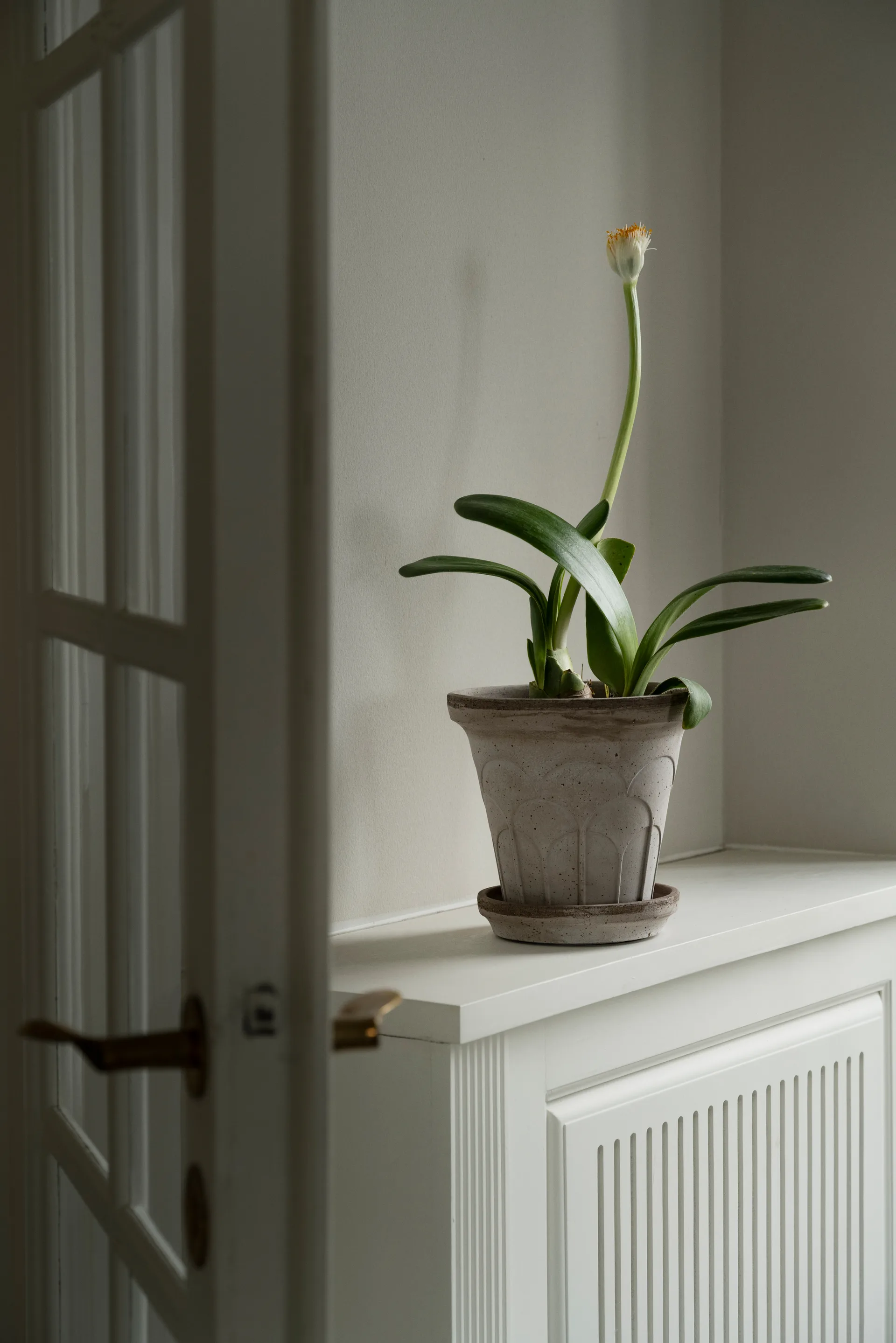 Doniczka Fleur z podstawką, 2 części, Grey, Ø18 cm Bergs Potter