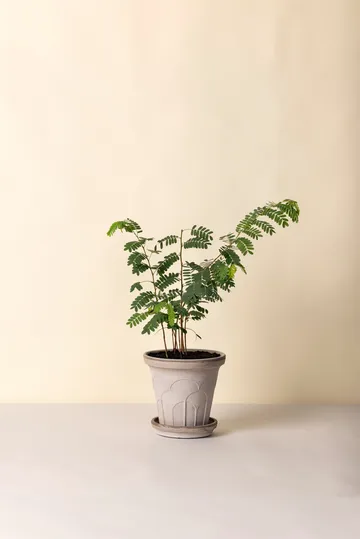 Doniczka Fleur z podstawką, 2 części - Grey, Ø21 cm - Bergs Potter