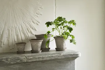 Doniczka Fleur z podstawką, 2 części - Grey, Ø21 cm - Bergs Potter