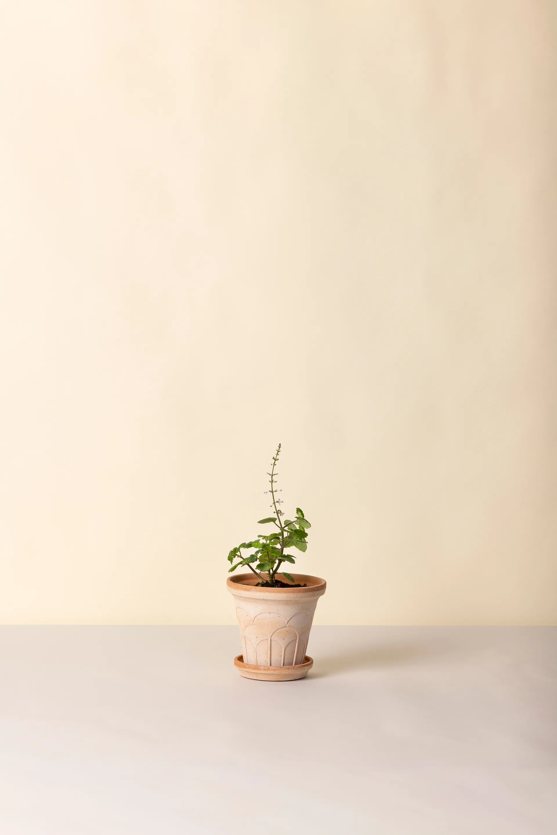 Doniczka Fleur z podstawką, 2 części, Róż, Ø14 m Bergs Potter