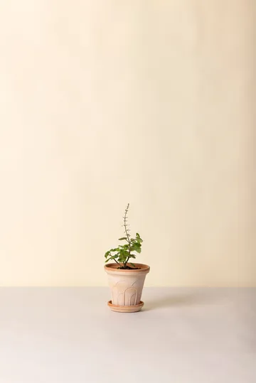 Doniczka Fleur z podstawką, 2 części - Róż, Ø14 m - Bergs Potter