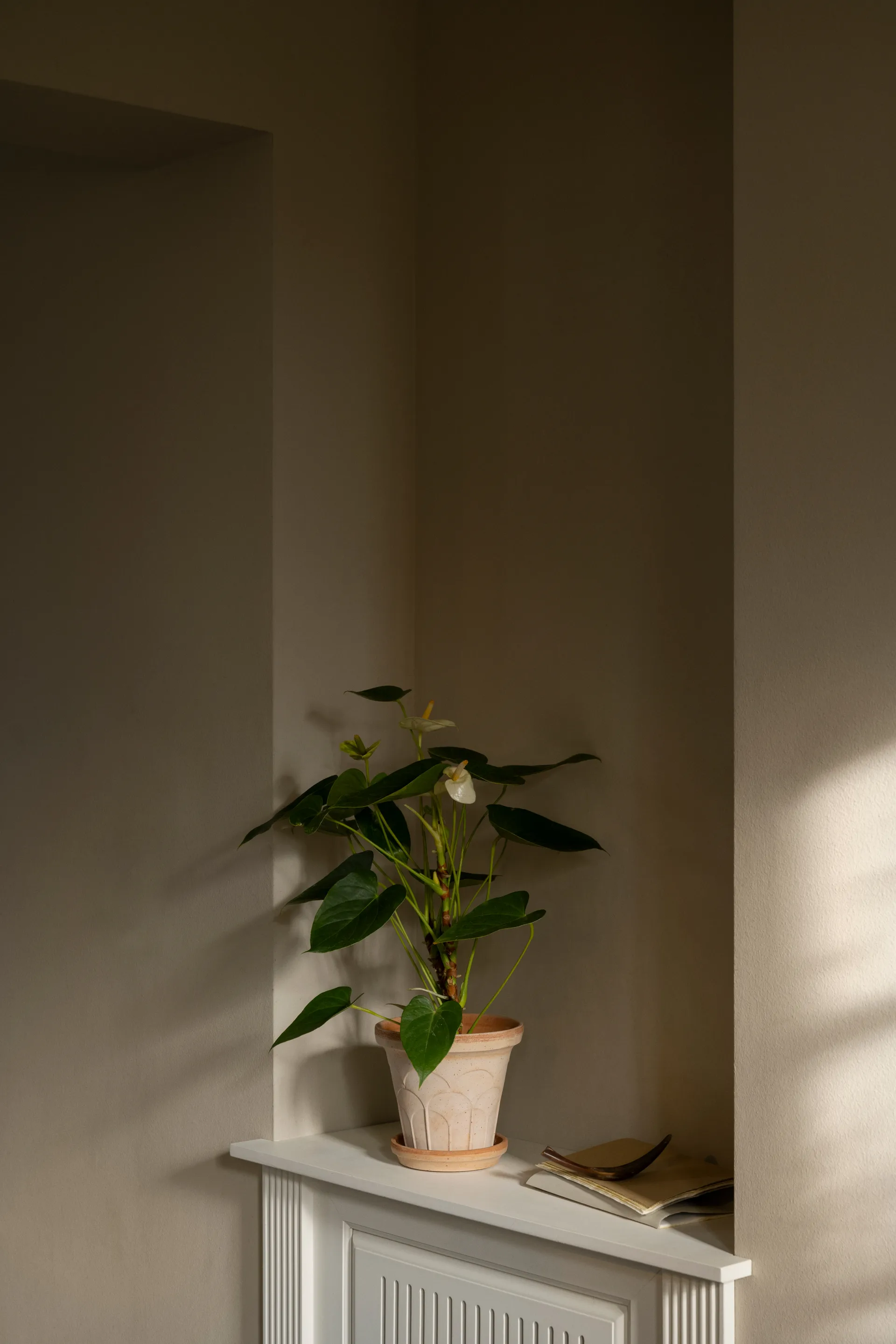 Doniczka Fleur z podstawką, 2 części, Róż, Ø16 cm Bergs Potter