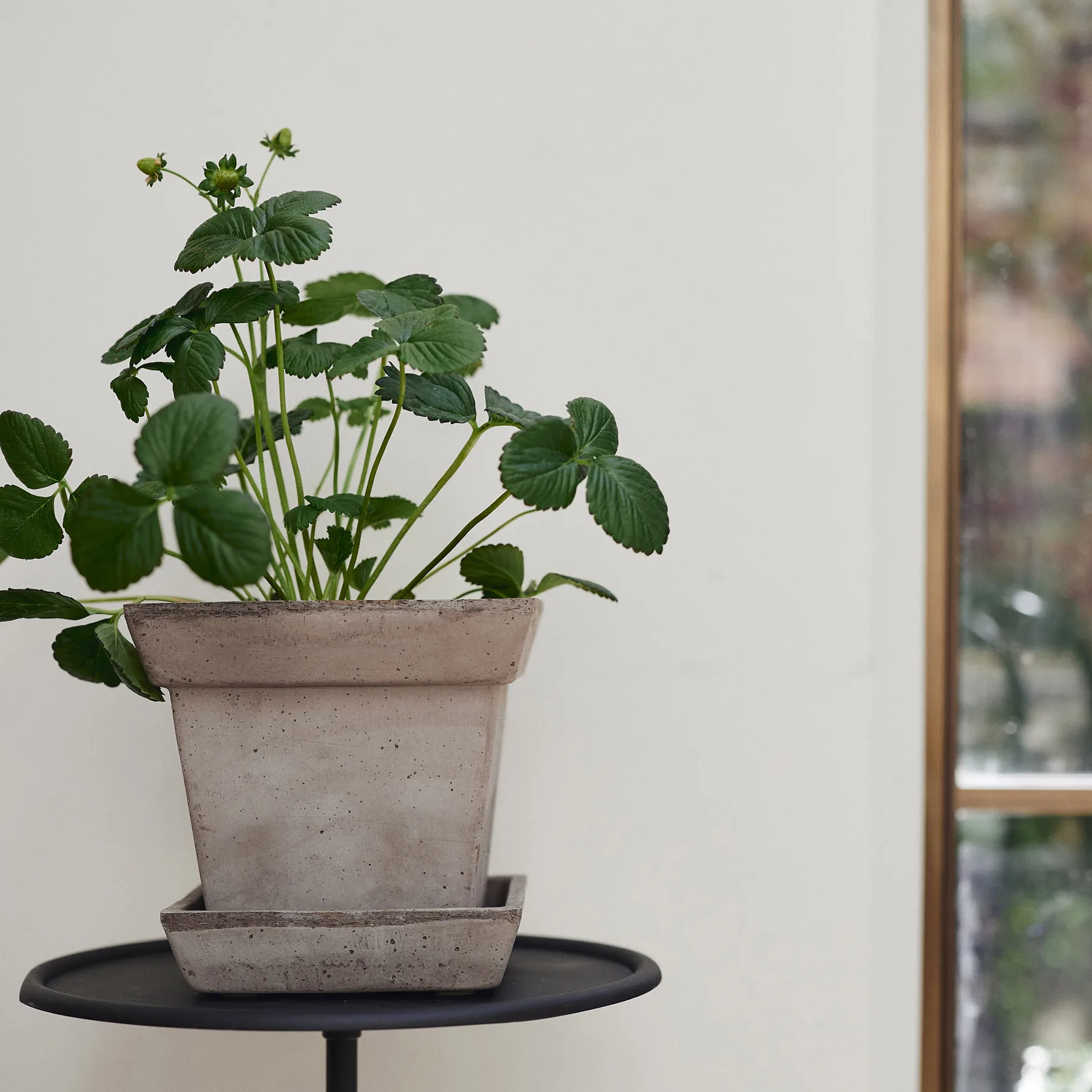 Doniczka Gaia raw, Grey, Ø21 cm Bergs Potter