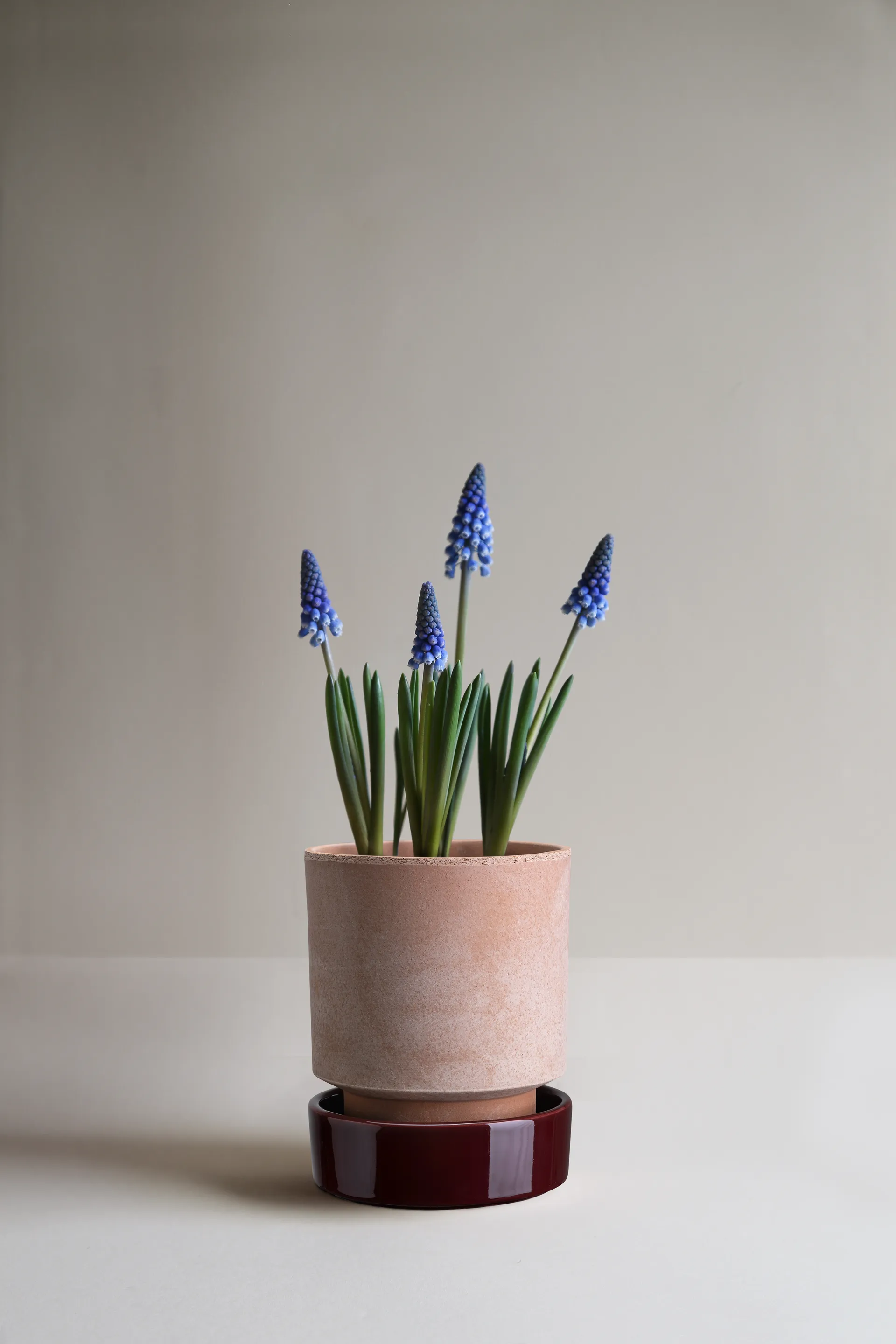 Doniczka Hoff, Ø14 cm, Raw Rosa-Deep Burgundy Bergs Potter