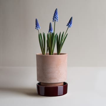 Doniczka Hoff - Ø16 cm, Raw Rosa-Deep Burgundy - Bergs Potter