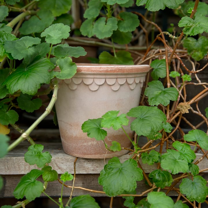 Doniczka Københavner Ø16 cm, Różowa Bergs Potter
