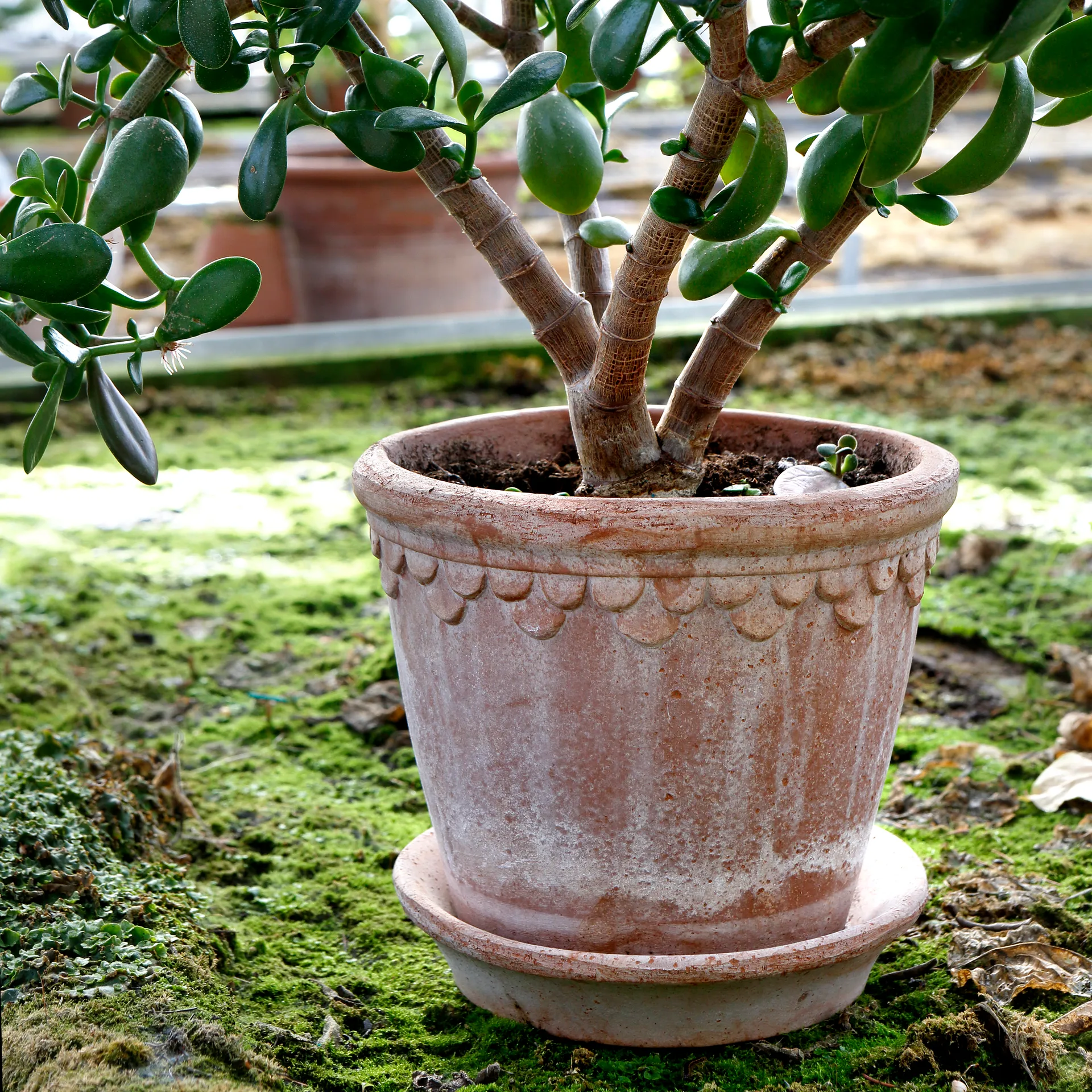 Doniczka Københavner 21 cm, Różowy Bergs Potter