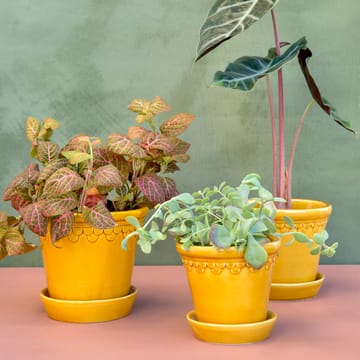 Doniczka Københavner szkliwiona Ø16 cm - Żółty - Bergs Potter