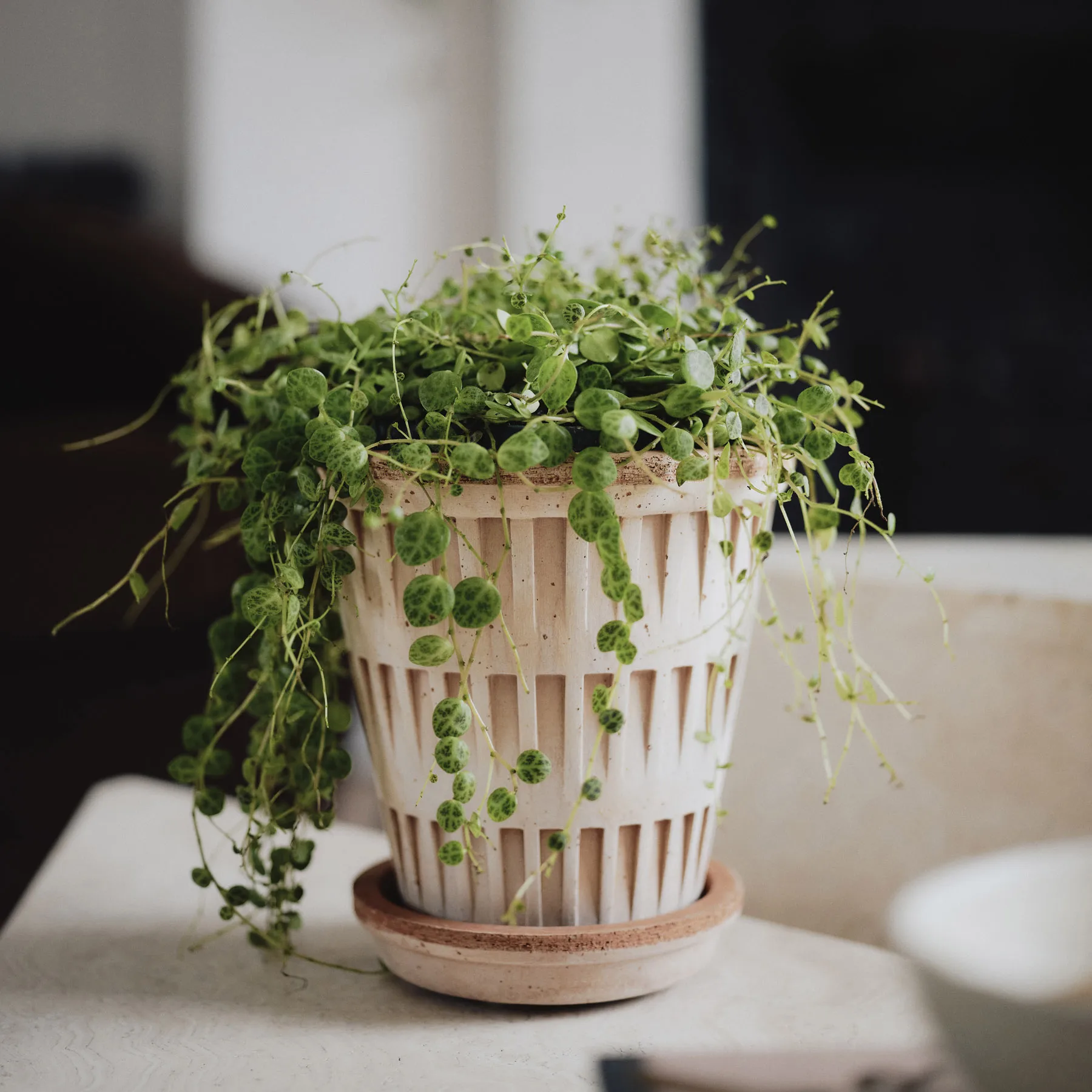 Doniczka Pantheon raw, Różowy, Ø14 cm Bergs Potter