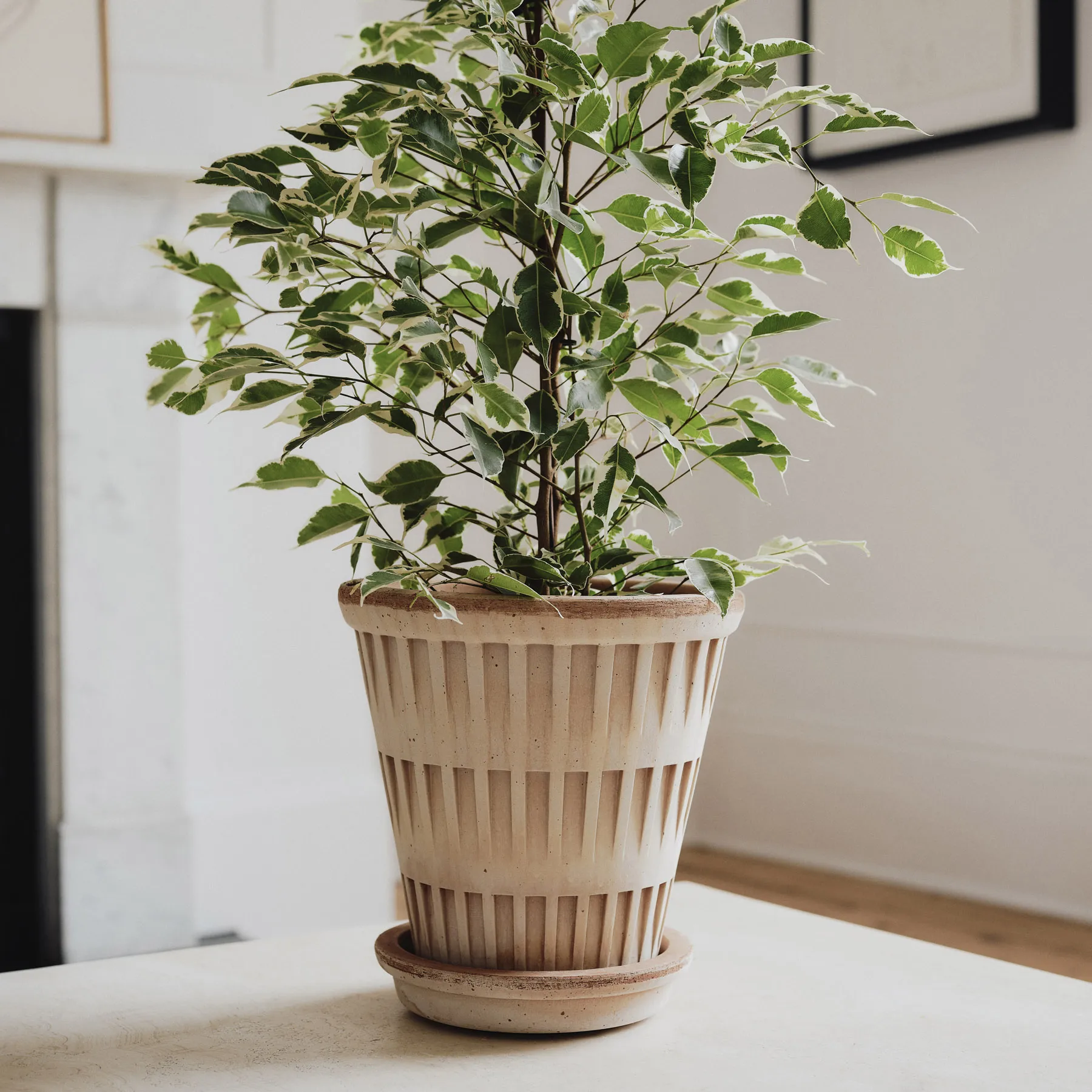 Doniczka Pantheon raw, Różowy, Ø21 cm Bergs Potter