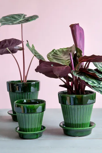 Doniczka Simona glazurowana Ø18 cm - Green - Bergs Potter
