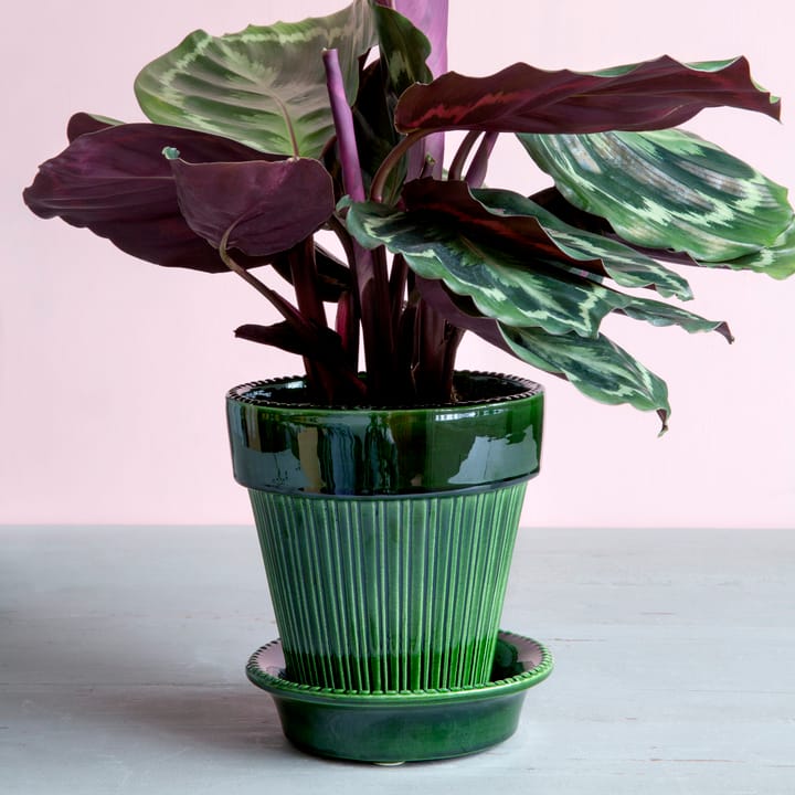 Doniczka Simona szkliwiona Ø16 cm, Zielony Bergs Potter