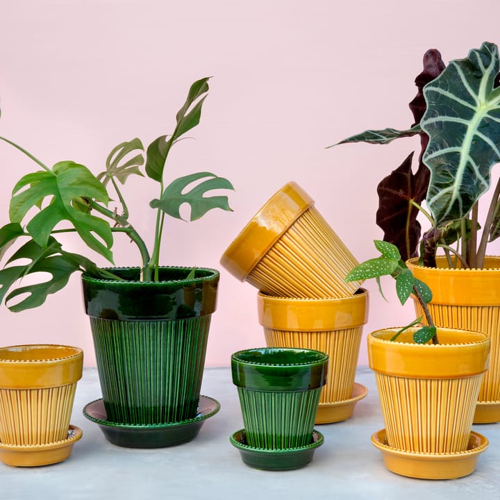 Doniczka Simona szkliwiona Ø16 cm, Żółty Bergs Potter