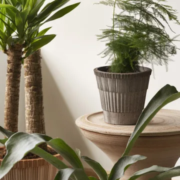 Doniczka ze spodkiem Atlas raw - Grey, Ø18 cm - Bergs Potter