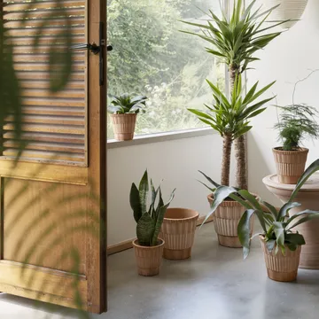 Doniczka ze spodkiem Atlas raw - Różowy, Ø18 cm - Bergs Potter