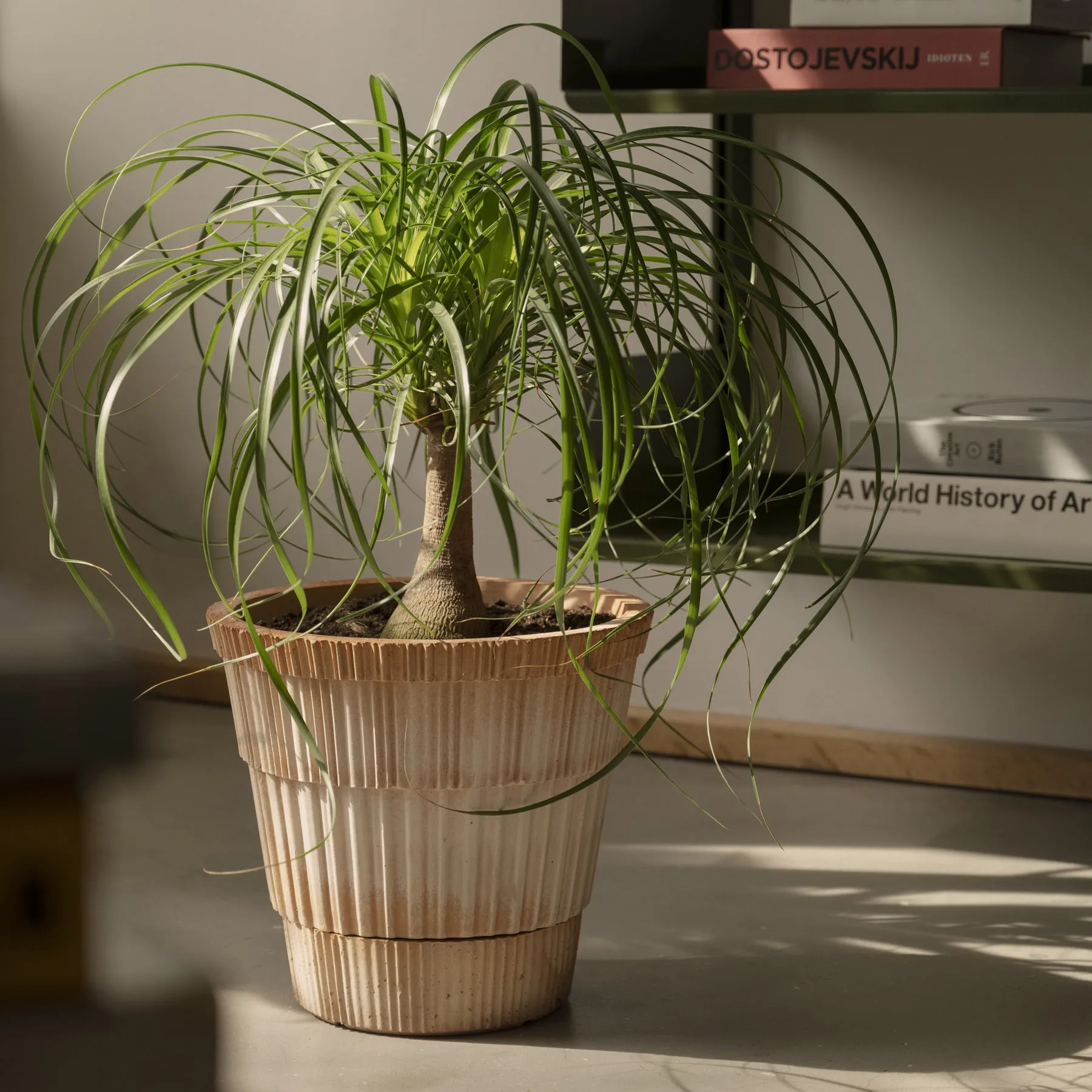 Doniczka ze spodkiem Atlas raw, Różowy, Ø18 cm Bergs Potter