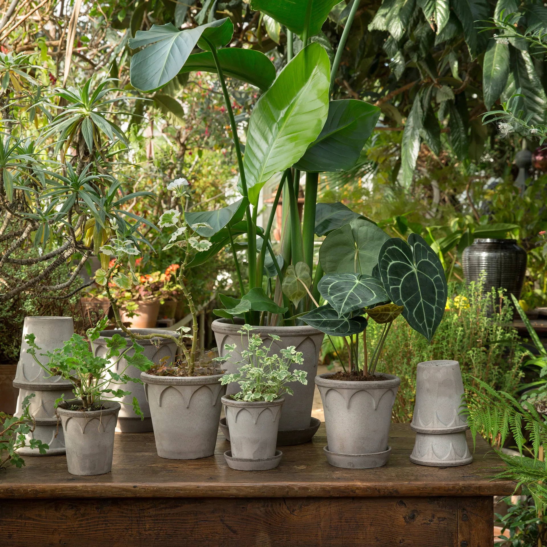 Elizabeth doniczka Ø12 cm, Grey Bergs Potter