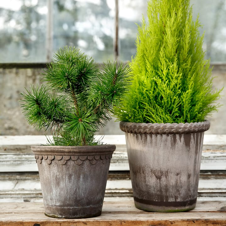 Emilia doniczka 16 cm, szary Bergs Potter