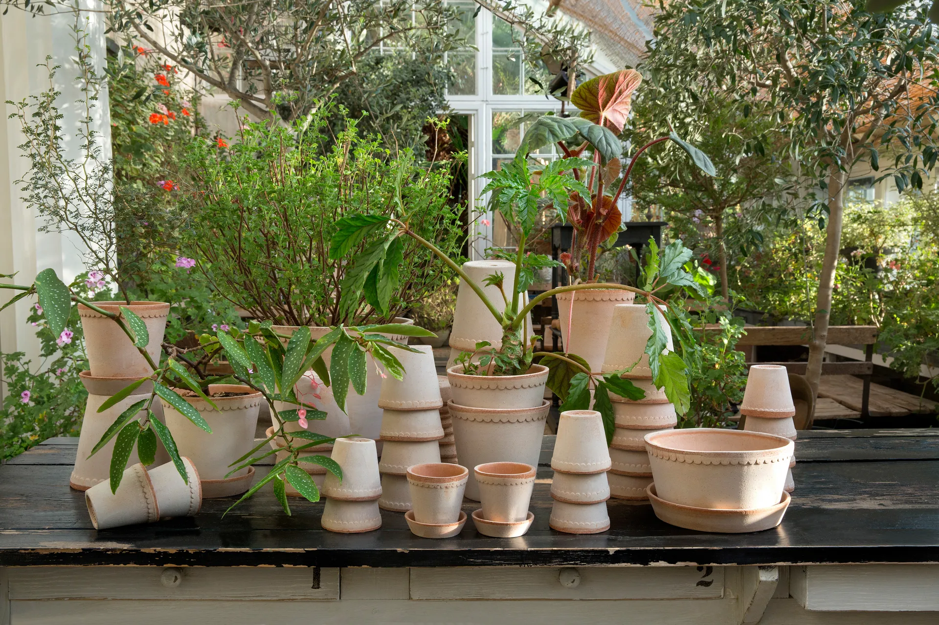 Helena doniczka Ø12 cm, Różowy Bergs Potter