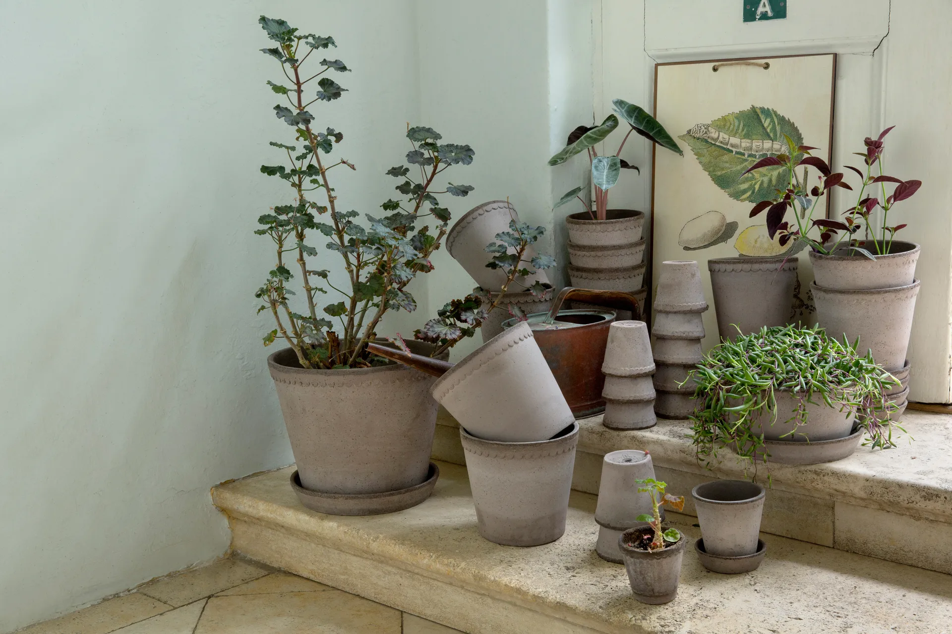 Helena doniczka Ø12 cm, szary Bergs Potter