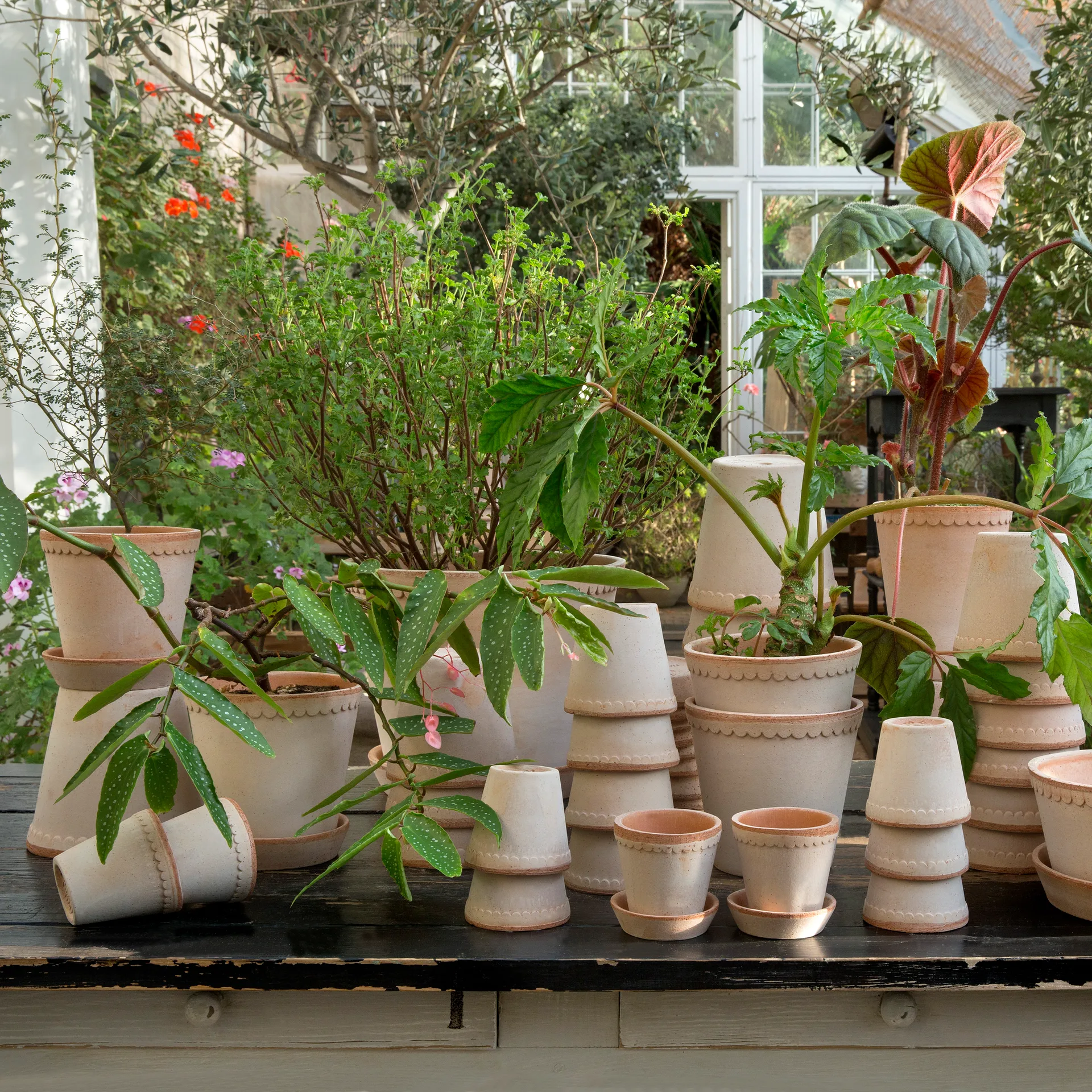 Helena doniczka Ø14 cm, Różowa Bergs Potter