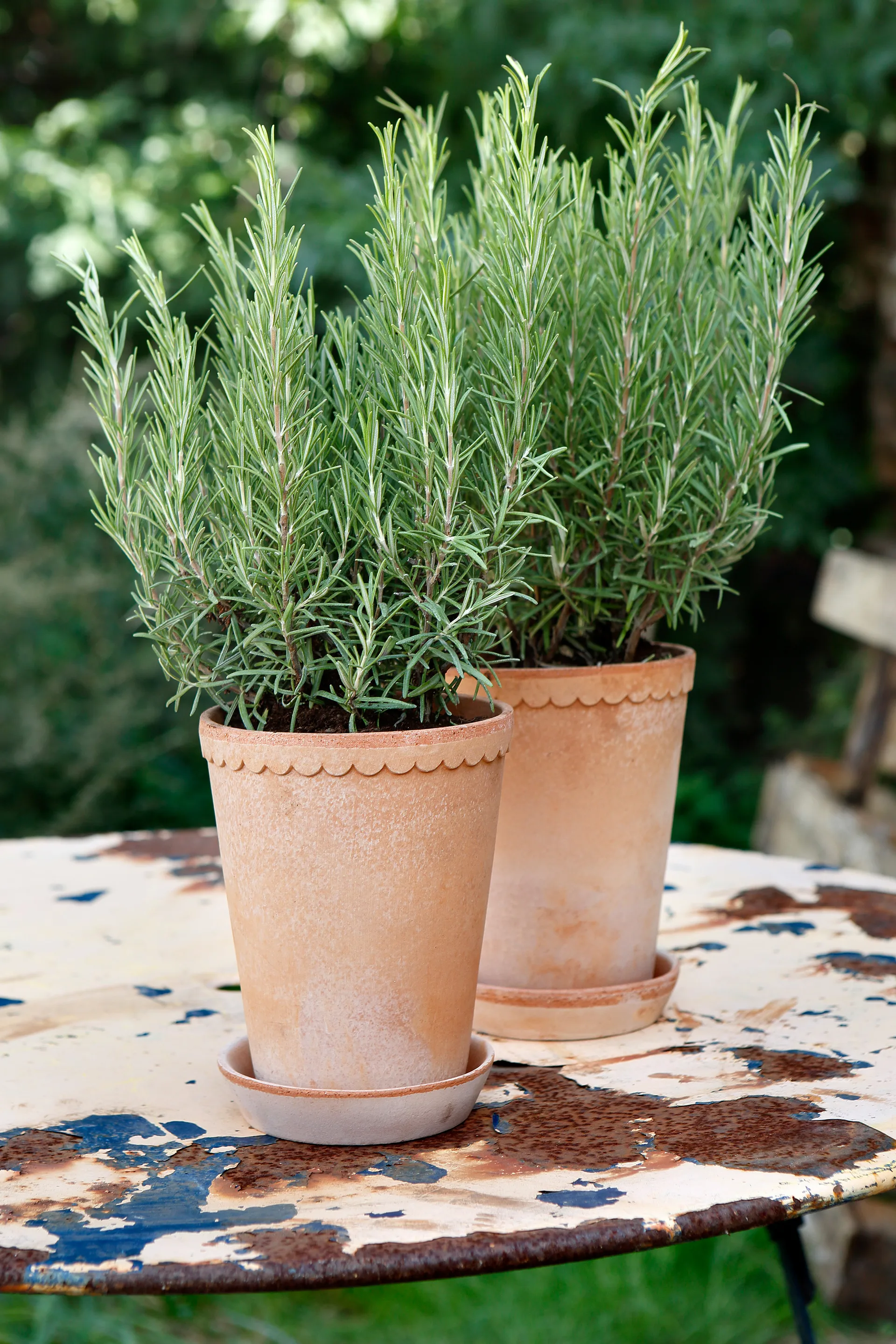 Helena doniczka wysoka Ø14 cm, Różowy Bergs Potter