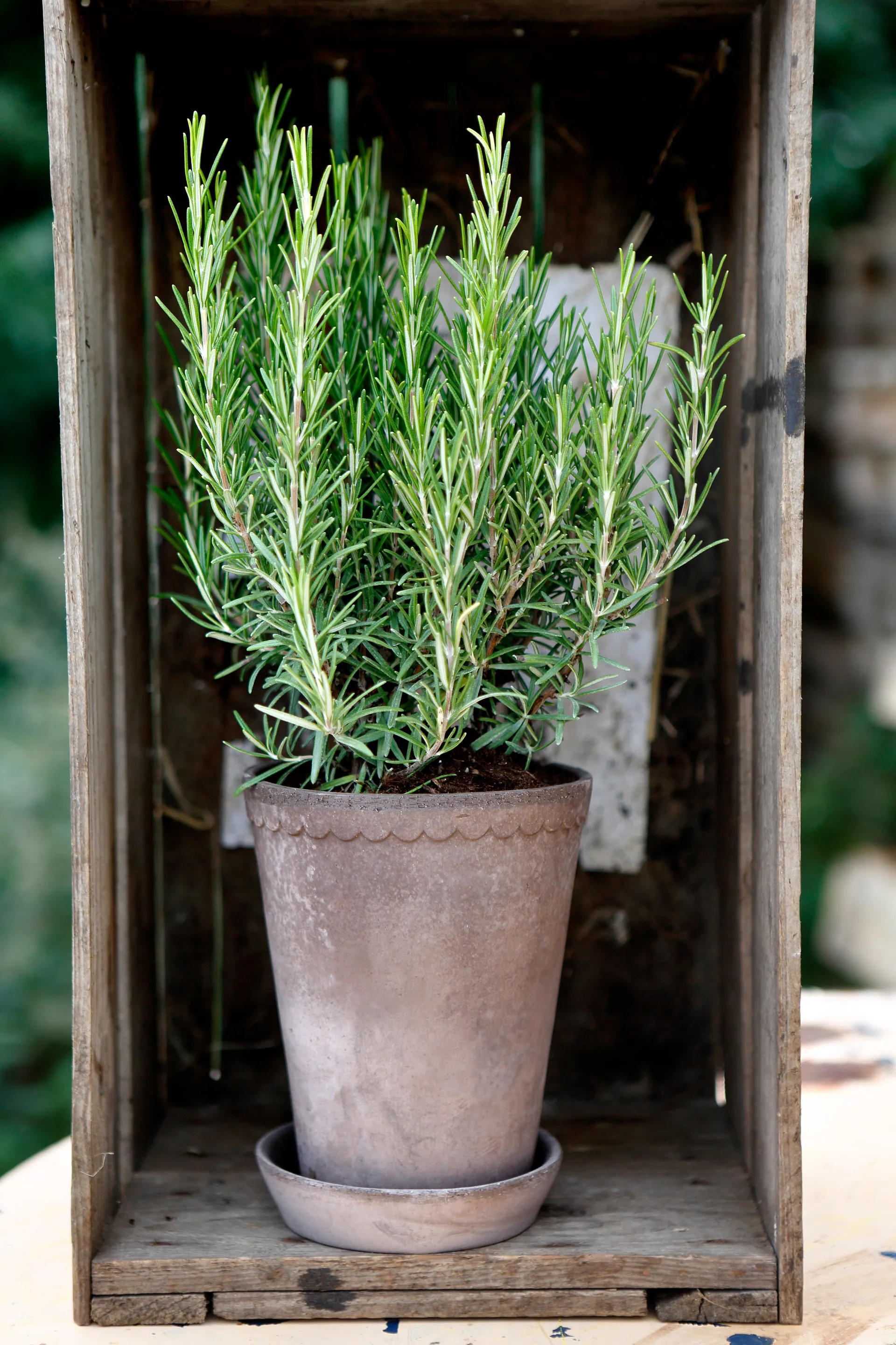 Helena doniczka wysoka Ø14 cm, szary Bergs Potter