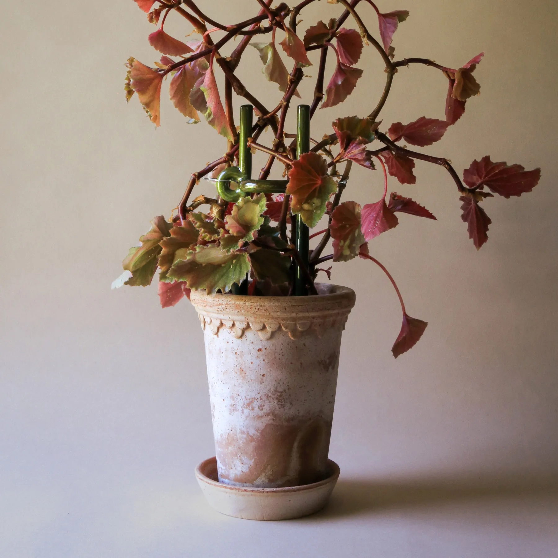 Podpora do roślin Folk Hinto, Moss green Bergs Potter