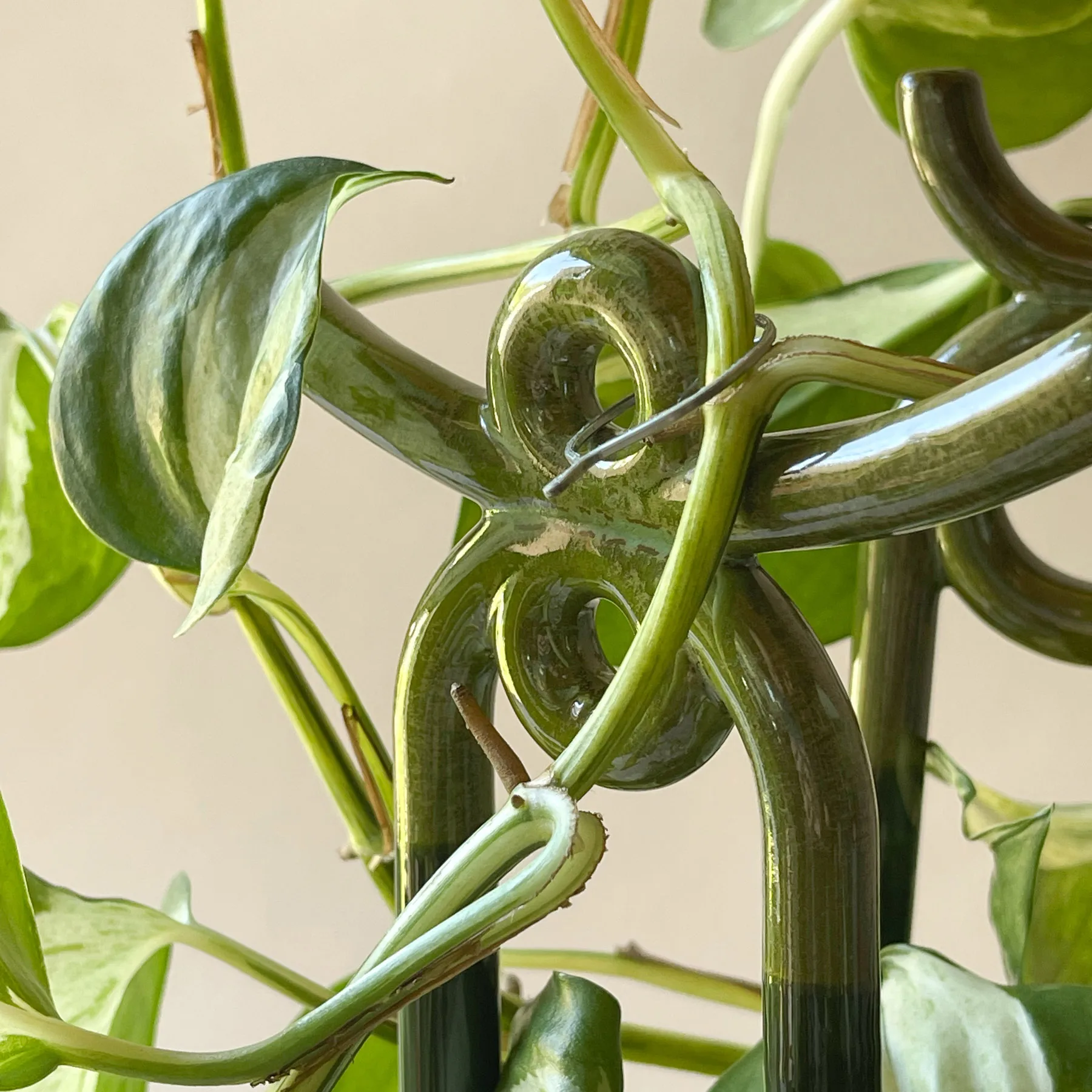 Podpora do roślin Folk Yuma, Moss green Bergs Potter