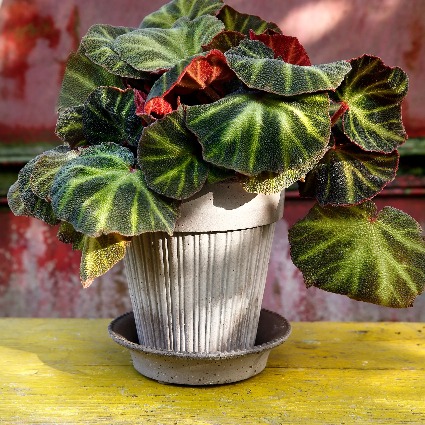 Simona doniczka Ø18 cm, szary Bergs Potter