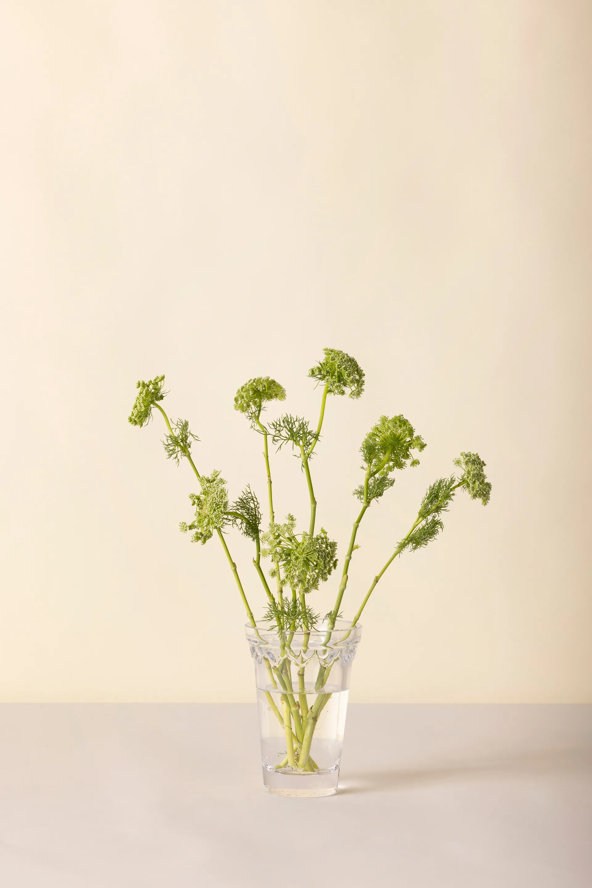 Wazon Köpenhamn, Przezroczysty, 18,5 cm Bergs Potter